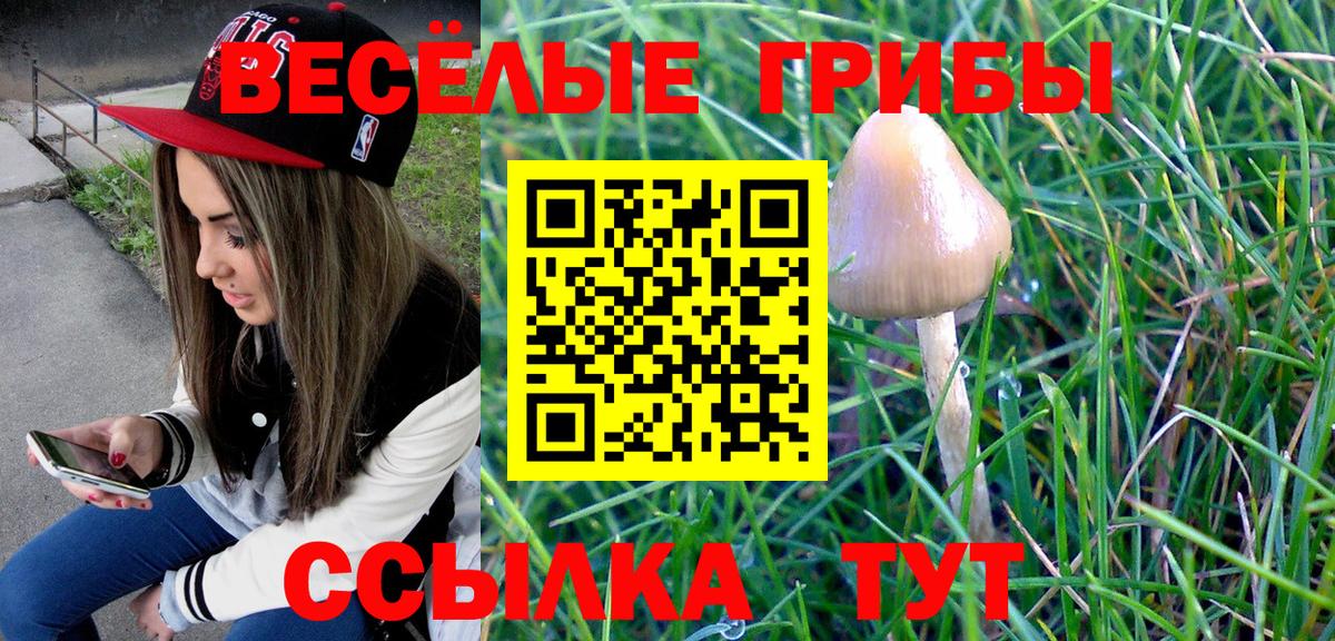 Галлюциногенные грибы Psilocybe Усть-Илимск