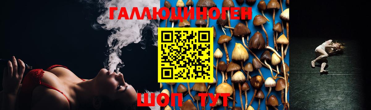 Усть-Илимск  Псилоцибиновые грибы прущие грибы  Вход с VPN  Галлюциногенные грибы Cubensis 